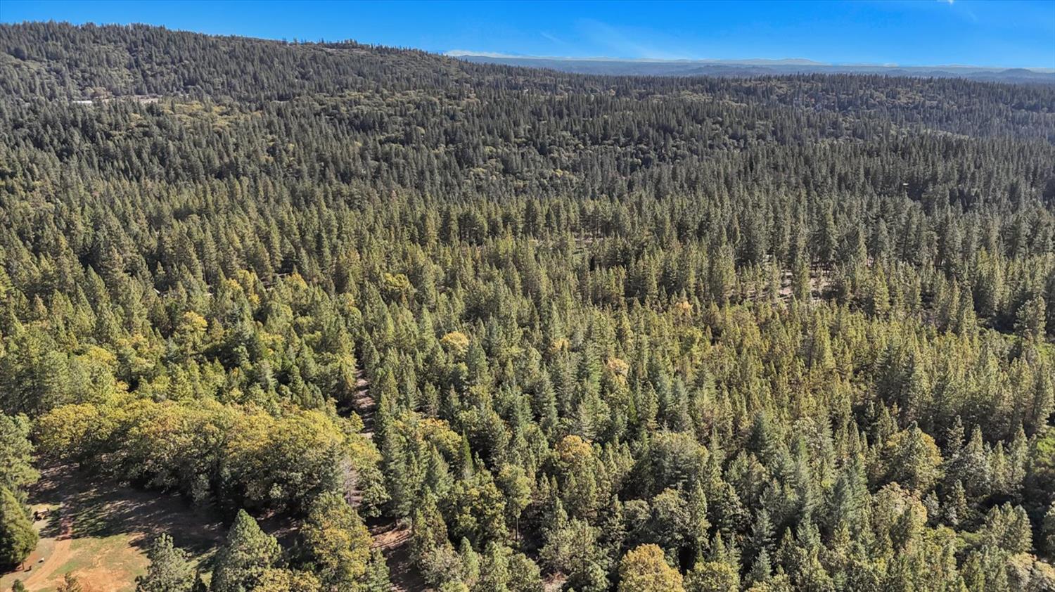 12566 Allison Ranch Road Grass Valley, CA 95949 - Photo 38 of 98 a view of a yard