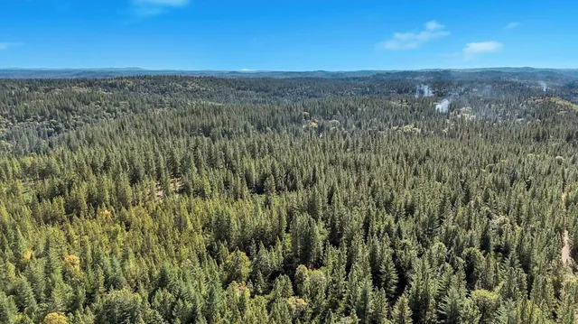 a view of a yard with trees in the background