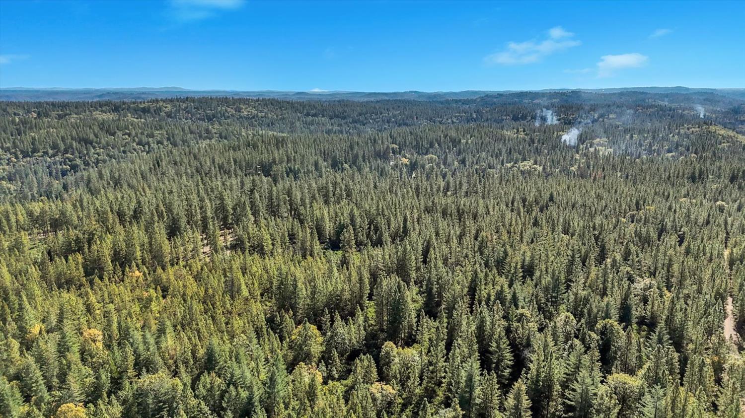 12566 Allison Ranch Road Grass Valley, CA 95949 - Photo 42 of 98