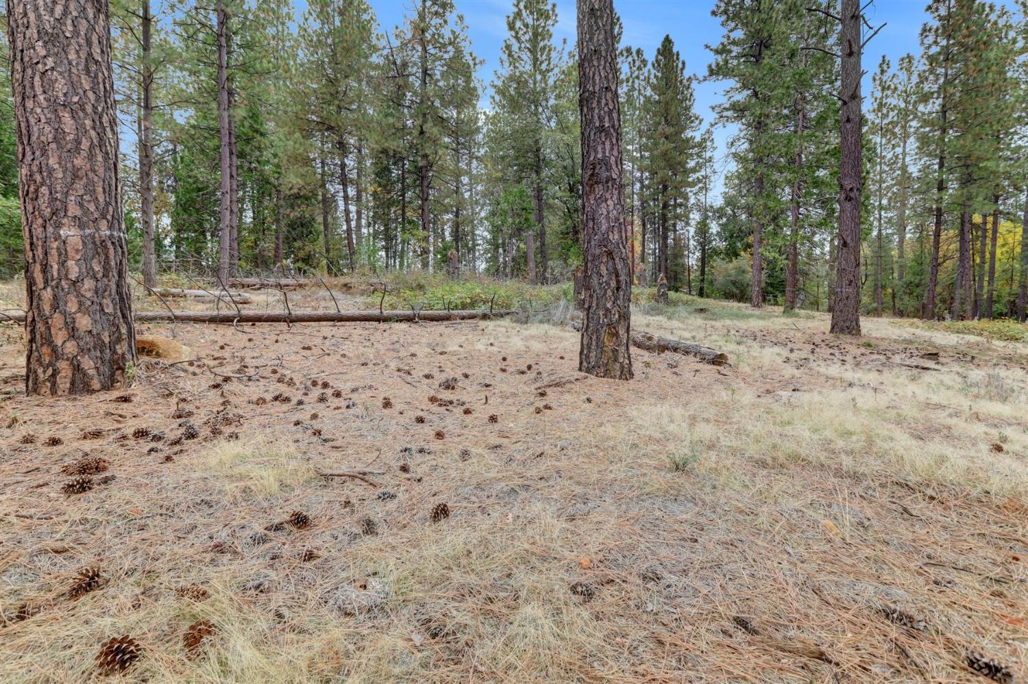 12566 Allison Ranch Road Grass Valley, CA 95949 - Photo 45 of 98