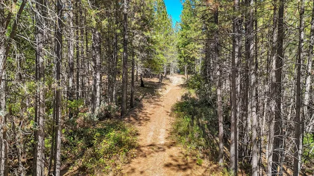 a view of a lake with lots of trees