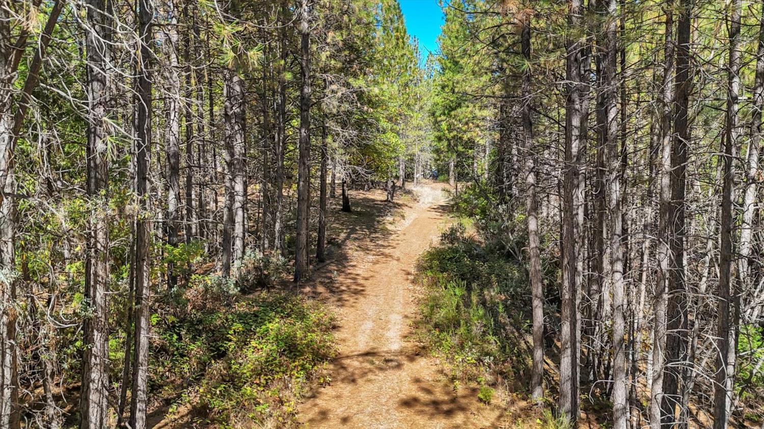 12566 Allison Ranch Road Grass Valley, CA 95949 - Photo 46 of 98