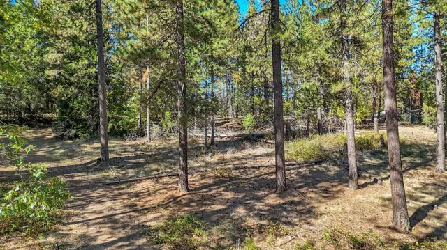 a view of dirt yard with a trees