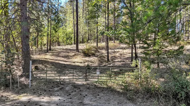 a view of dirt yard with a large tree