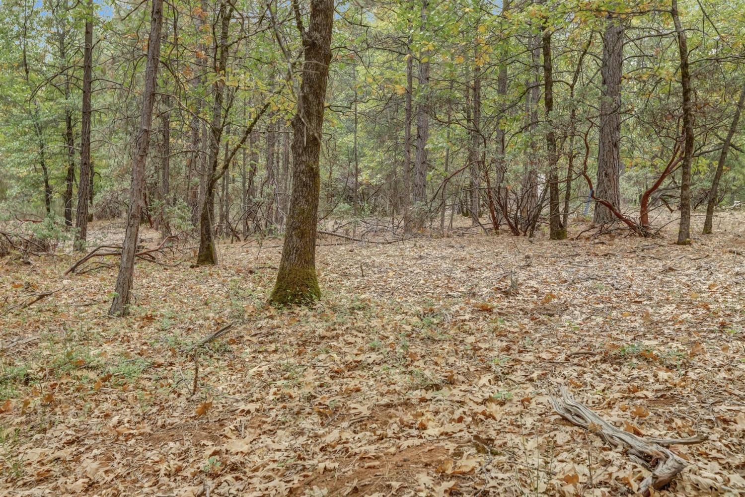 12566 Allison Ranch Road Grass Valley, CA 95949 - Photo 59 of 98