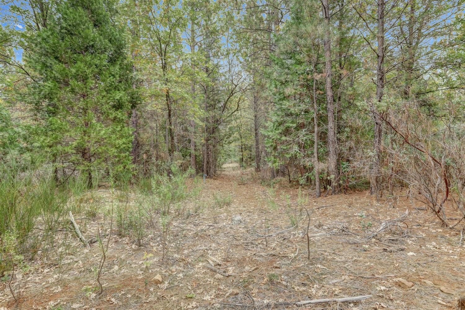 12566 Allison Ranch Road Grass Valley, CA 95949 - Photo 60 of 98