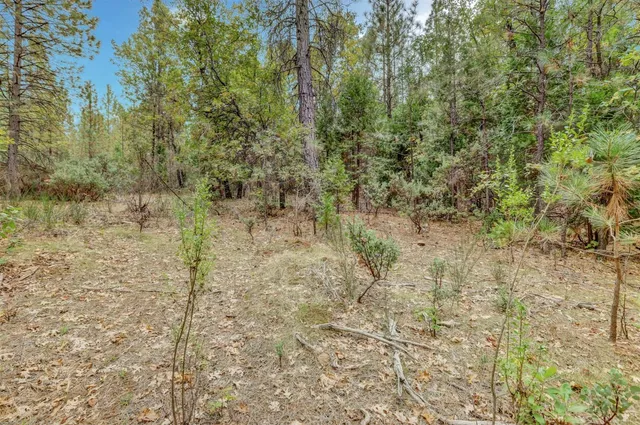 $159,000 | 12566 Allison Ranch Road, Grass Valley, CA 95949