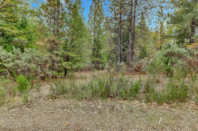 $159,000 | 12566 Allison Ranch Road, Grass Valley, CA 95949