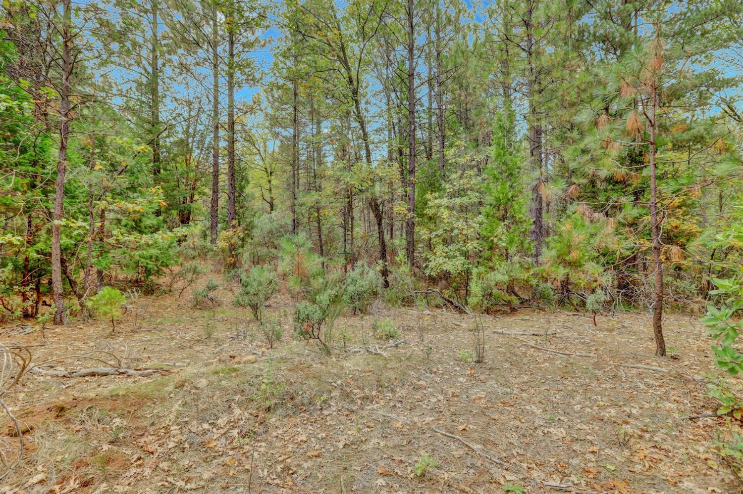 12566 Allison Ranch Road Grass Valley, CA 95949 - Photo 69 of 98