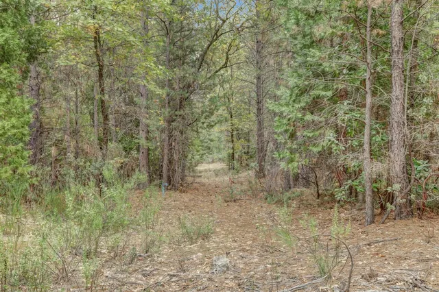 $159,000 | 12566 Allison Ranch Road, Grass Valley, CA 95949