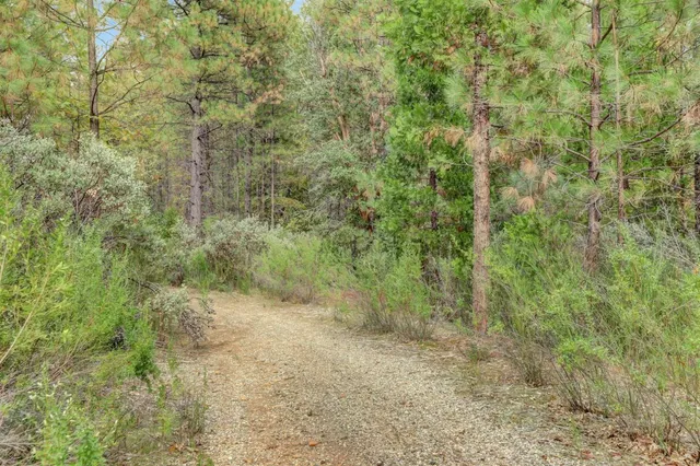 $159,000 | 12566 Allison Ranch Road, Grass Valley, CA 95949