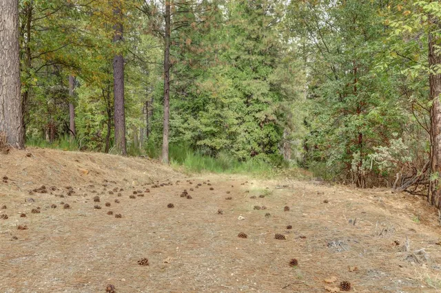 $159,000 | 12566 Allison Ranch Road, Grass Valley, CA 95949