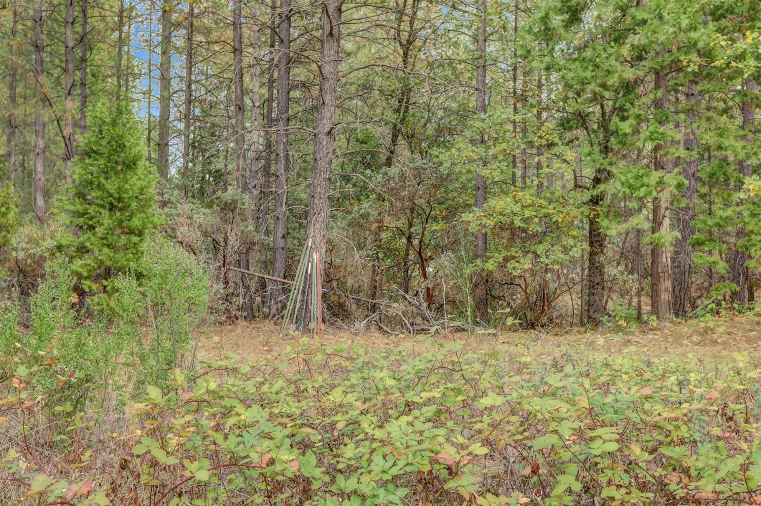 12566 Allison Ranch Road Grass Valley, CA 95949 - Photo 75 of 98