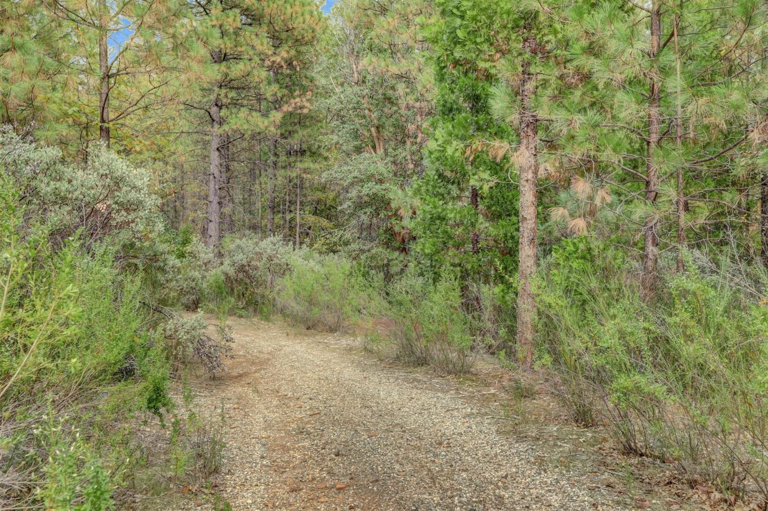 12566 Allison Ranch Road Grass Valley, CA 95949 - Photo 76 of 98