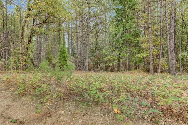 $159,000 | 12566 Allison Ranch Road, Grass Valley, CA 95949