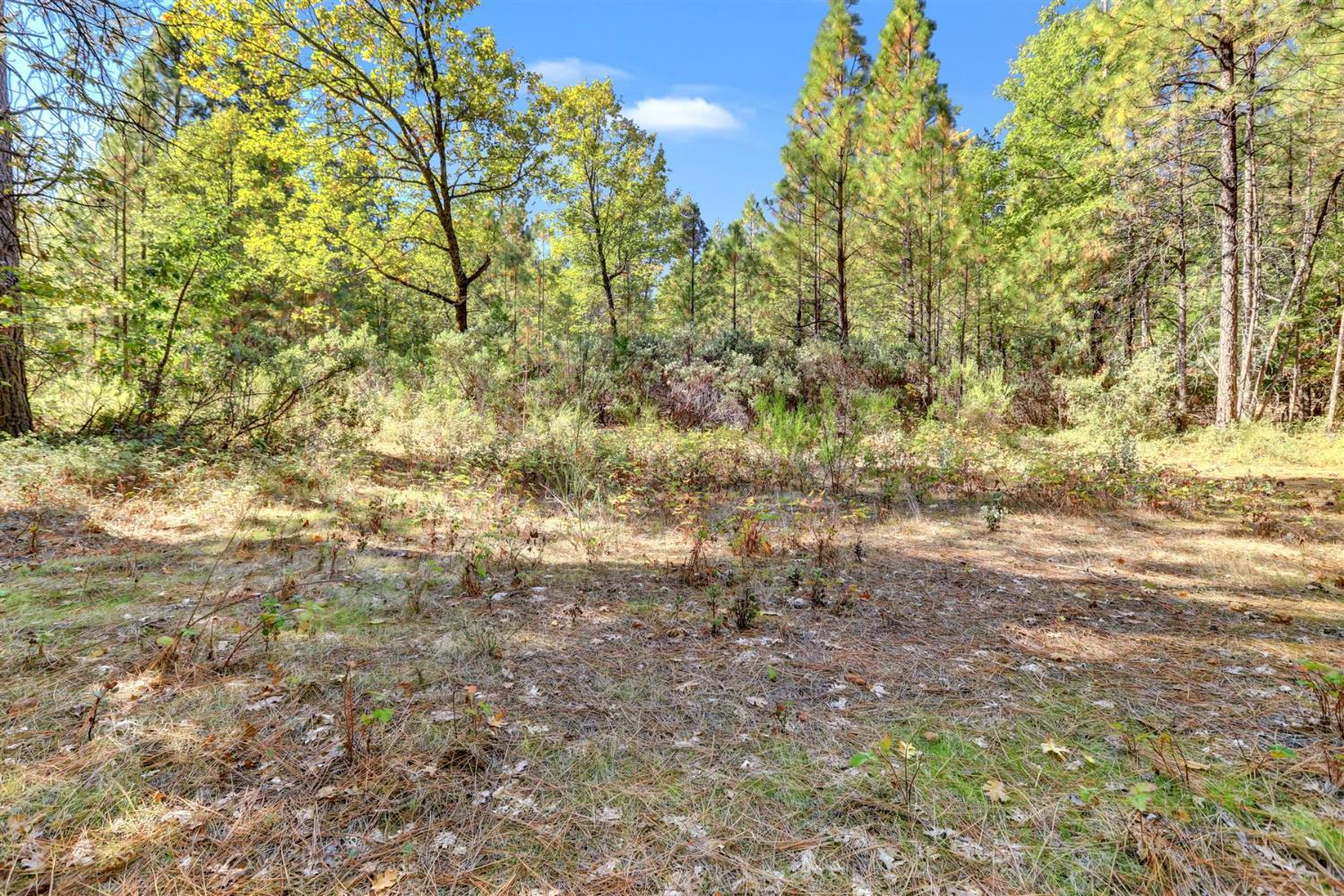 12566 Allison Ranch Road Grass Valley, CA 95949 - Photo 8 of 98