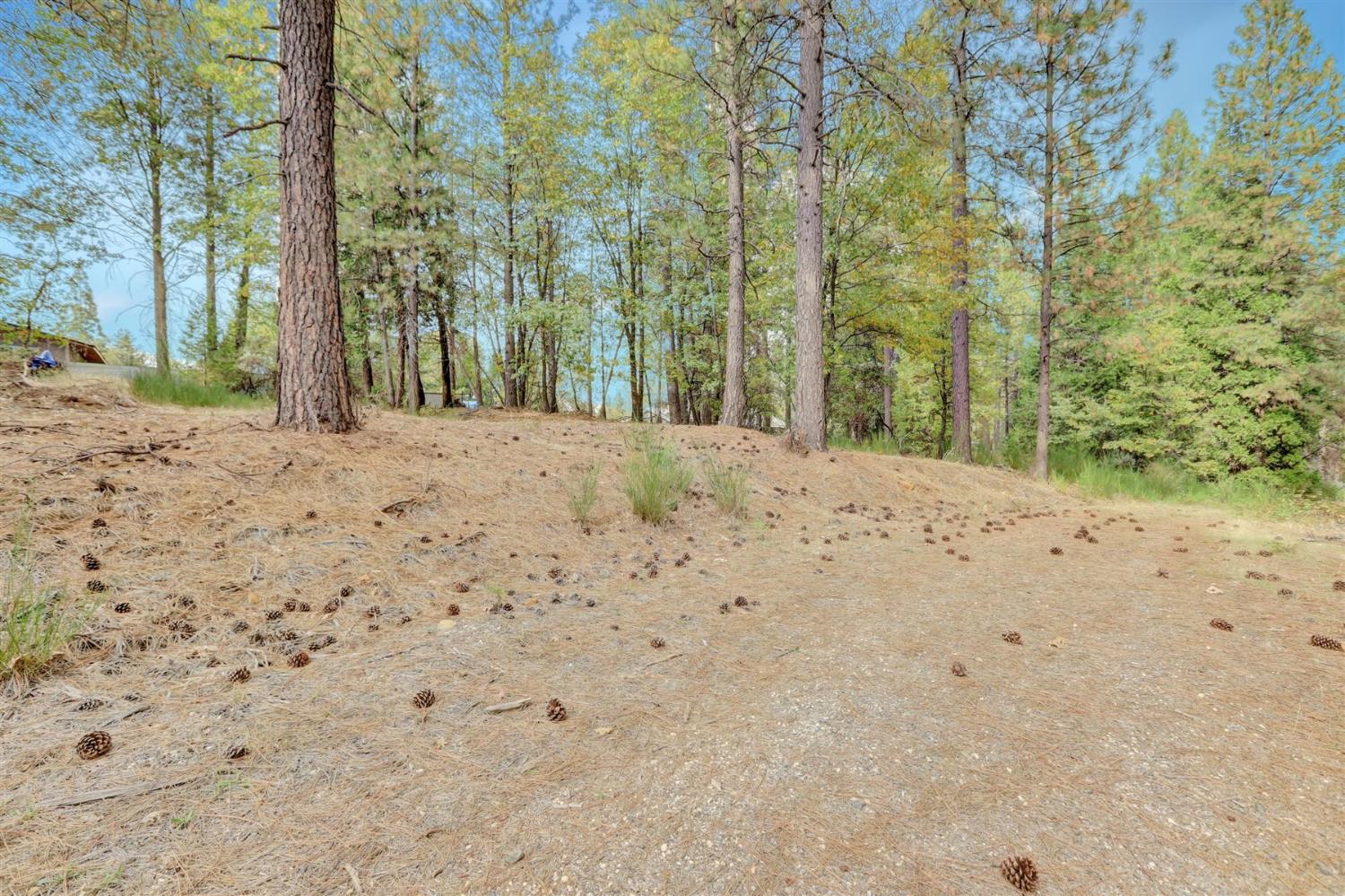 12566 Allison Ranch Road Grass Valley, CA 95949 - Photo 81 of 98 a view of a backyard of the house