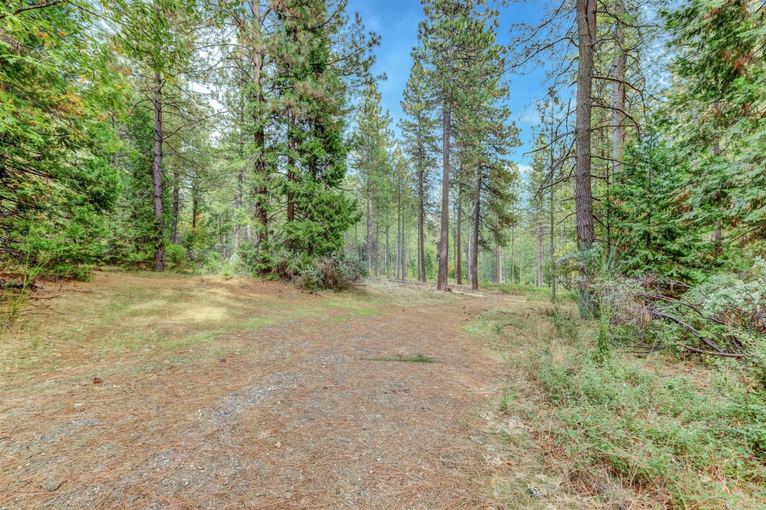 12566 Allison Ranch Road Grass Valley, CA 95949 - Photo 85 of 98