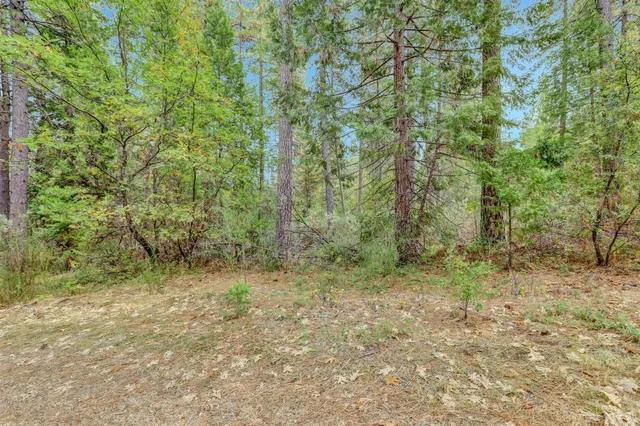 $159,000 | 12566 Allison Ranch Road, Grass Valley, CA 95949