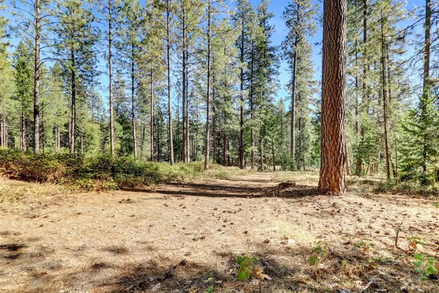 $159,000 | 12566 Allison Ranch Road, Grass Valley, CA 95949