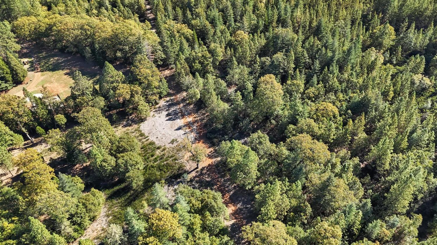 12566 Allison Ranch Road Grass Valley, CA 95949 - Photo 92 of 98