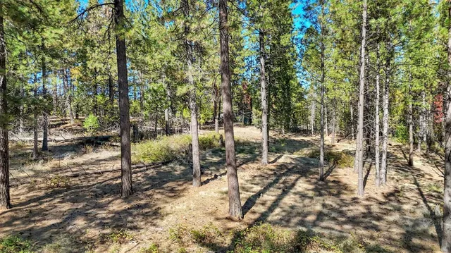 $159,000 | 12566 Allison Ranch Road, Grass Valley, CA 95949