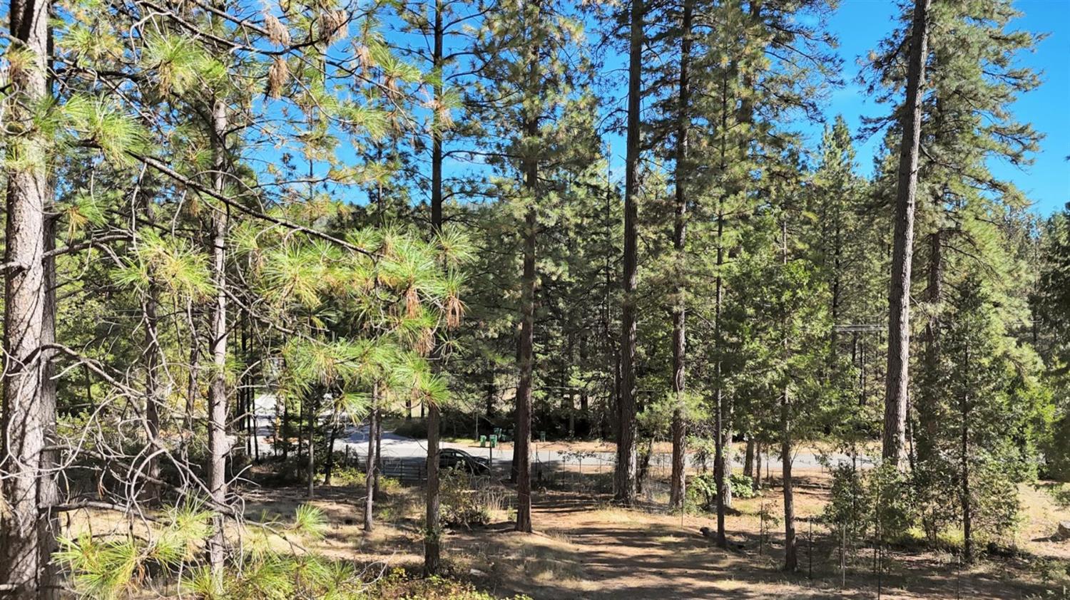 12566 Allison Ranch Road Grass Valley, CA 95949 - Photo 96 of 98