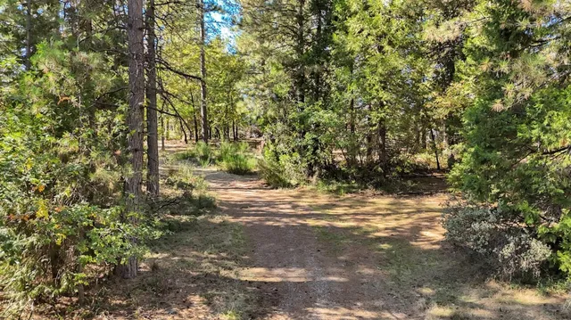 $159,000 | 12566 Allison Ranch Road, Grass Valley, CA 95949