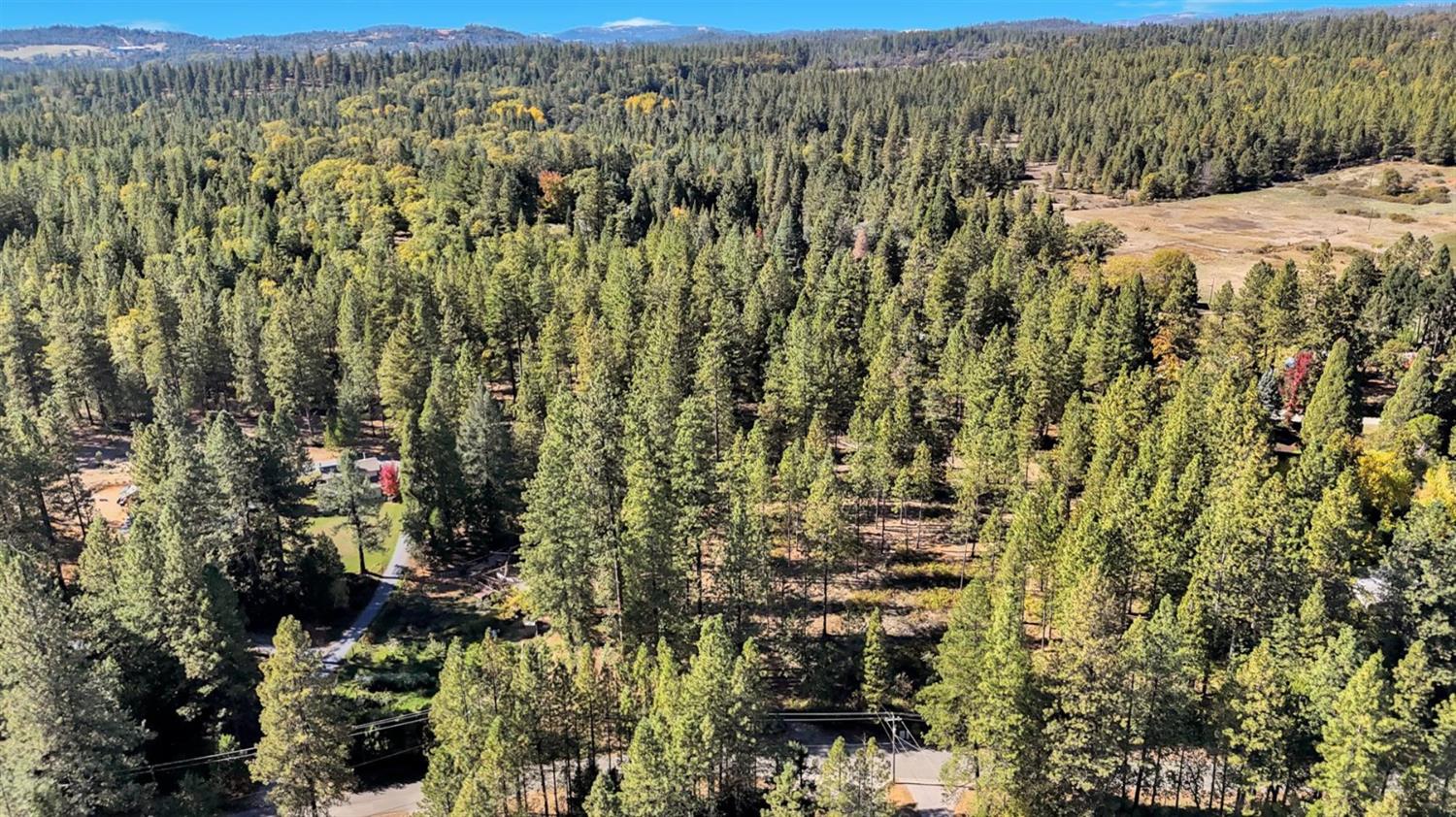 12566 Allison Ranch Road Grass Valley, CA 95949 - Photo 98 of 98