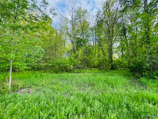 3885 East Robinson Road Amherst, NY 14228 - Photo 3 of 3