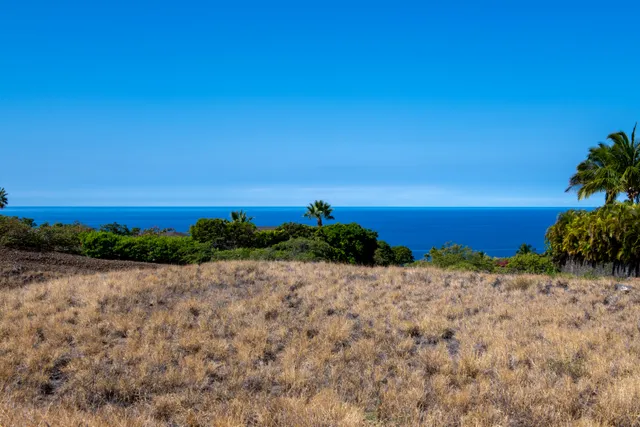 a view of a beach with a ocean view