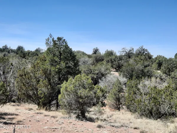 a view of a dry yard covered with snow in the background