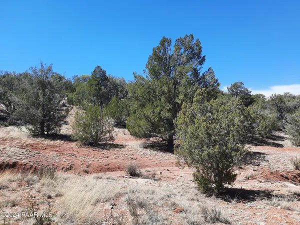 a view of a snow with trees in the background