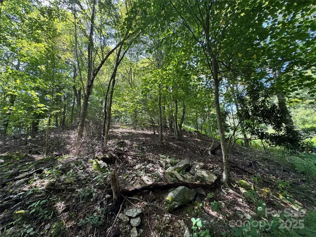 $105,000 | Tbd Wyeth Drive, Unit 11, Blowing Rock, NC 28605