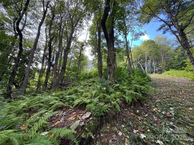 $105,000 | Tbd Wyeth Drive, Unit 11, Blowing Rock, NC 28605