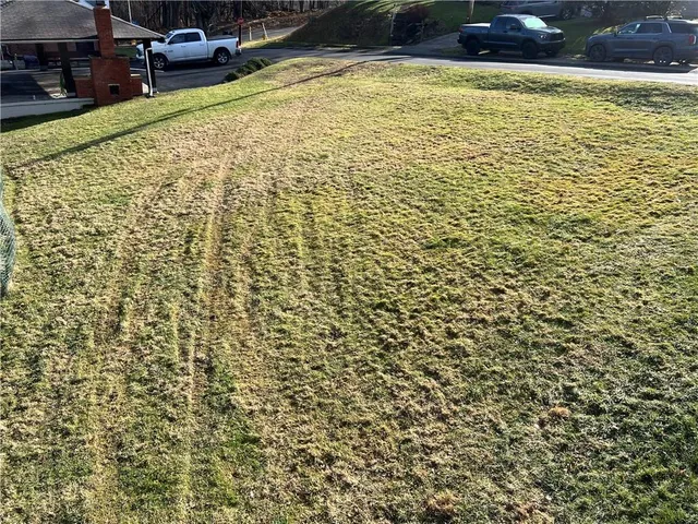 a view of a backyard