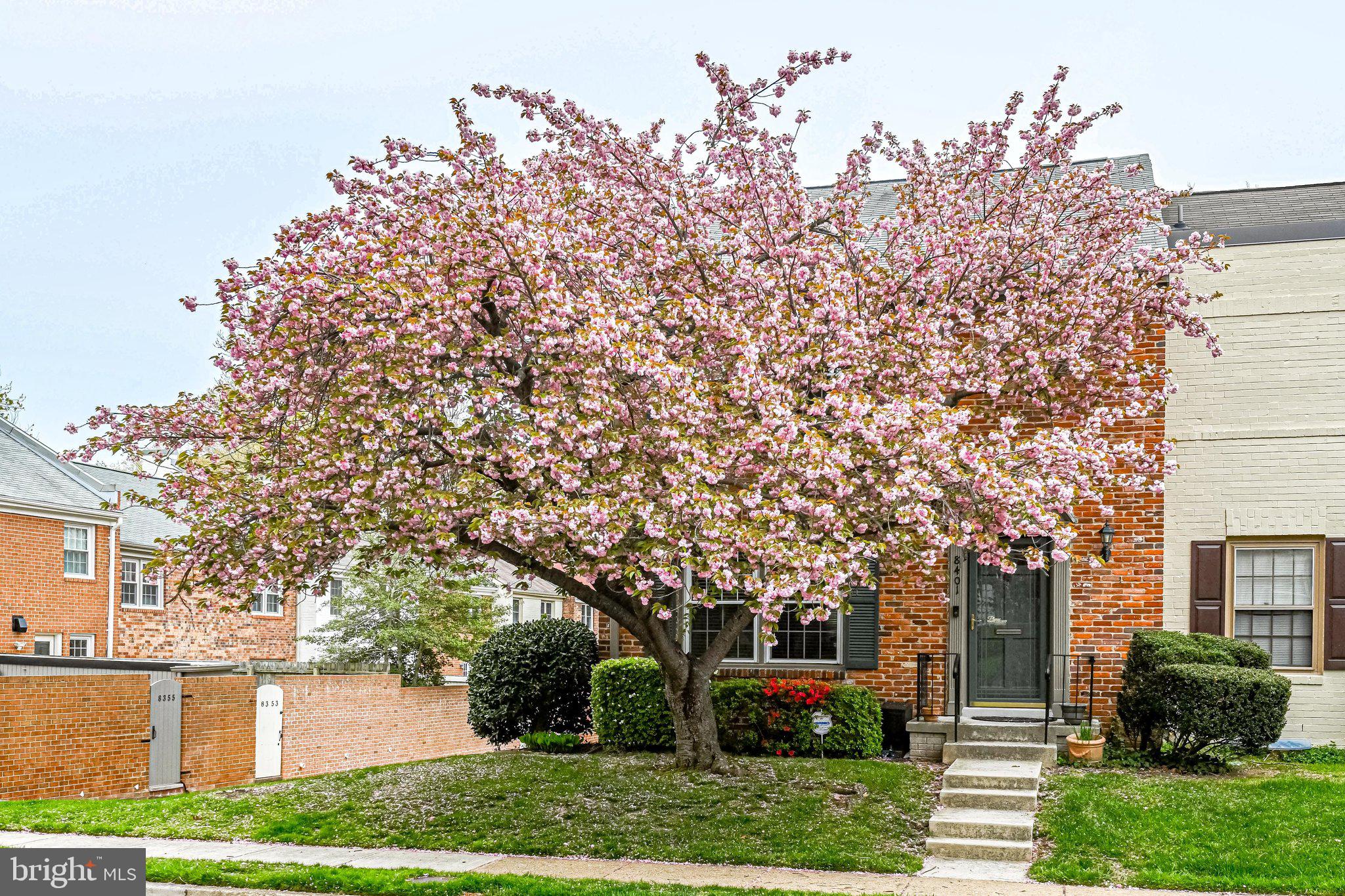 8401 Willow Forge Road Springfield, VA 22152 - Photo 2 of 33
