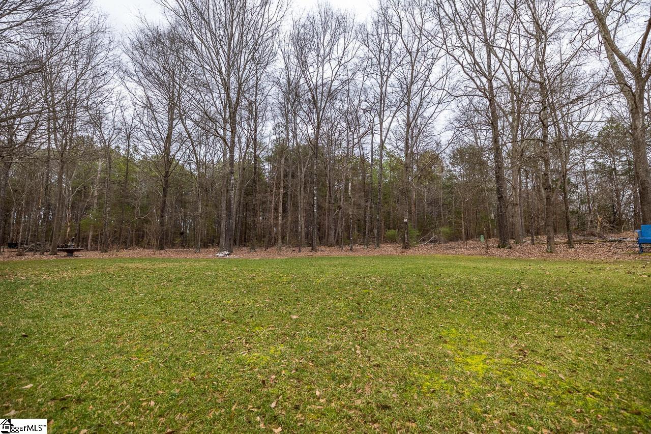 204 Crossington Way Fountain Inn, SC 29644 - Photo 23 of 30 Gallery Image 23
