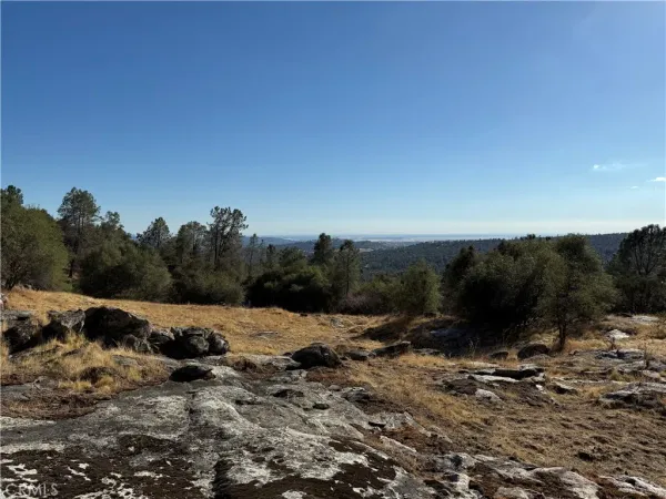 a view of a dry yard with trees and mountains in the background