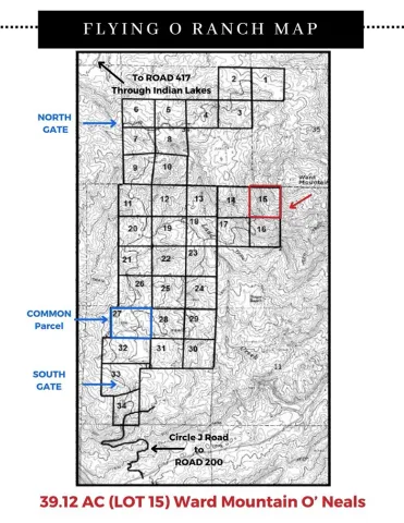 a view of a wooden bridge