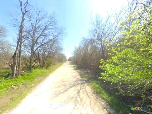 a view of yard with small fountain