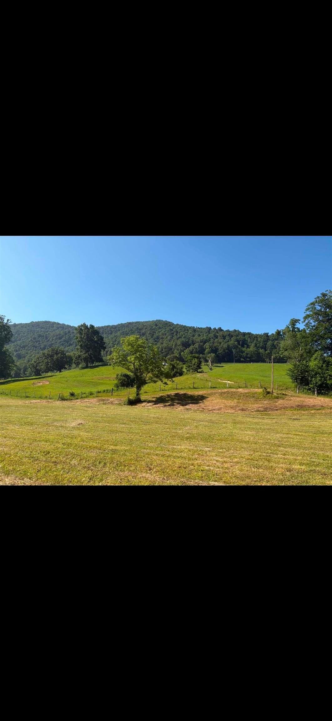 770 Bergoo Road Webster Springs, WV 26288 - Photo 33 of 43 Gallery Image 33