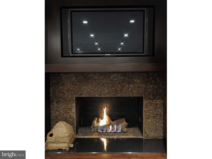 435 Great Springs Road Bryn Mawr, PA 19010 - Photo 10 of 13 Fireplace