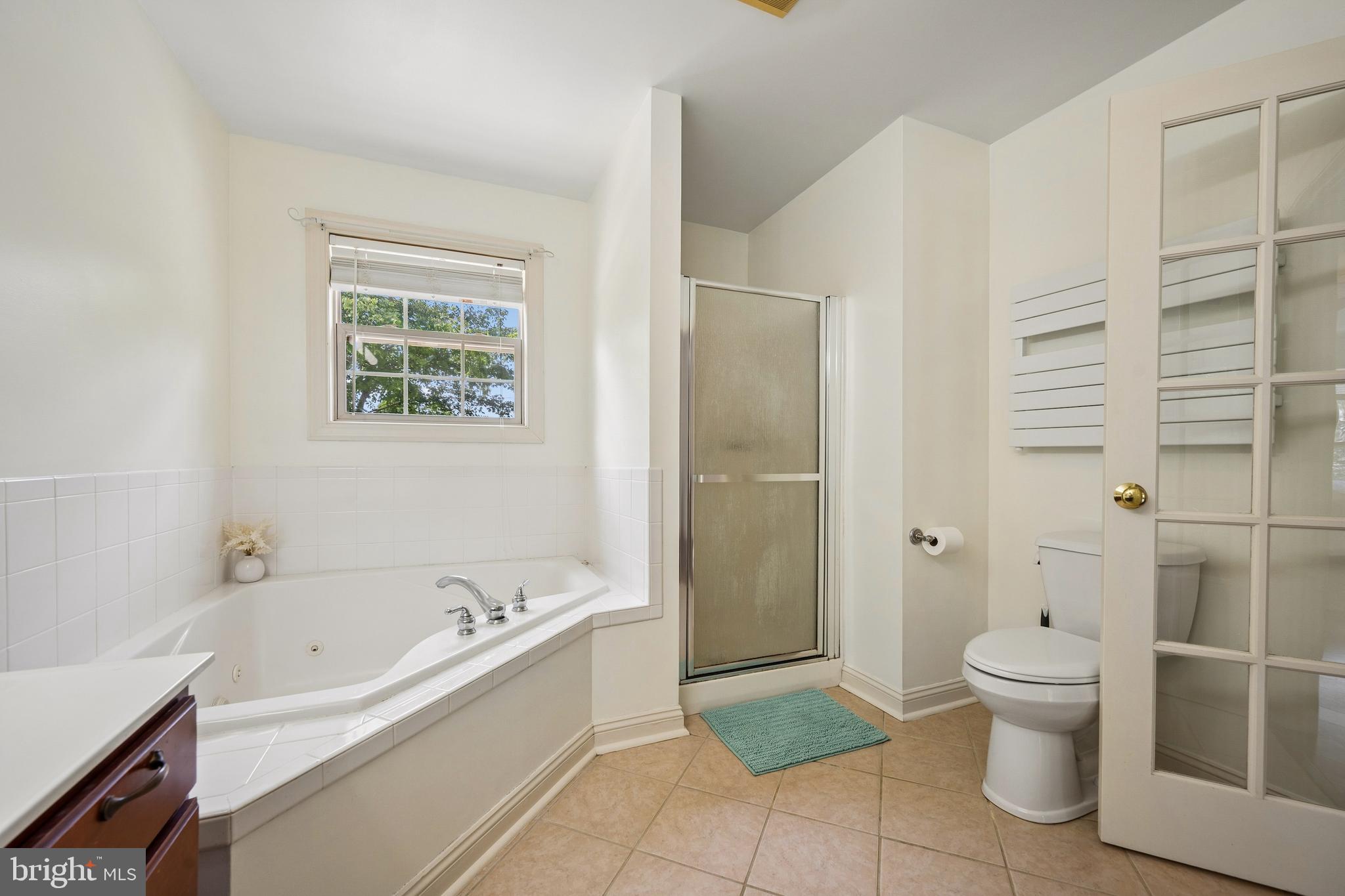55 Greenmount Road Rising Sun, MD 21911 - Photo 35 of 105 Primary bath with jetted tub & shower.