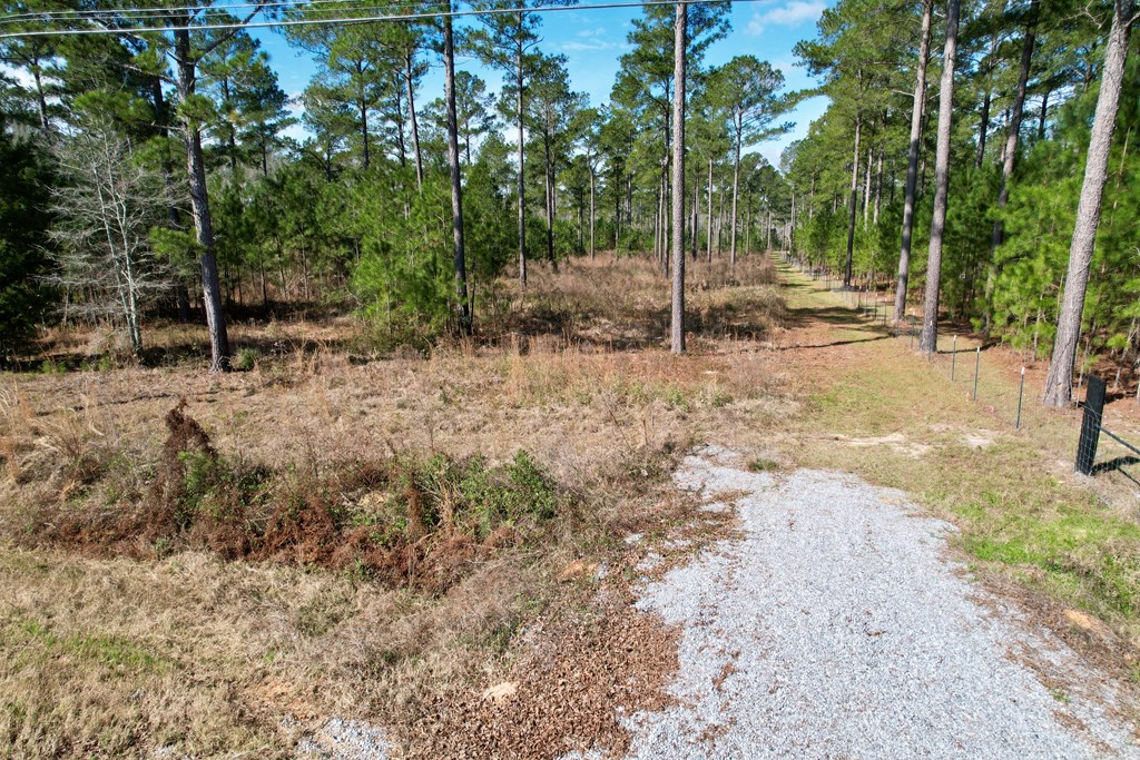 0 Ben Ivey Road Webb, AL 36376 - Photo 3 of 7