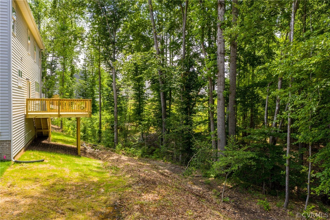 4113 Tosh Lane Chester, VA 23831 - Photo 43 of 47 a view of outdoor space and garden