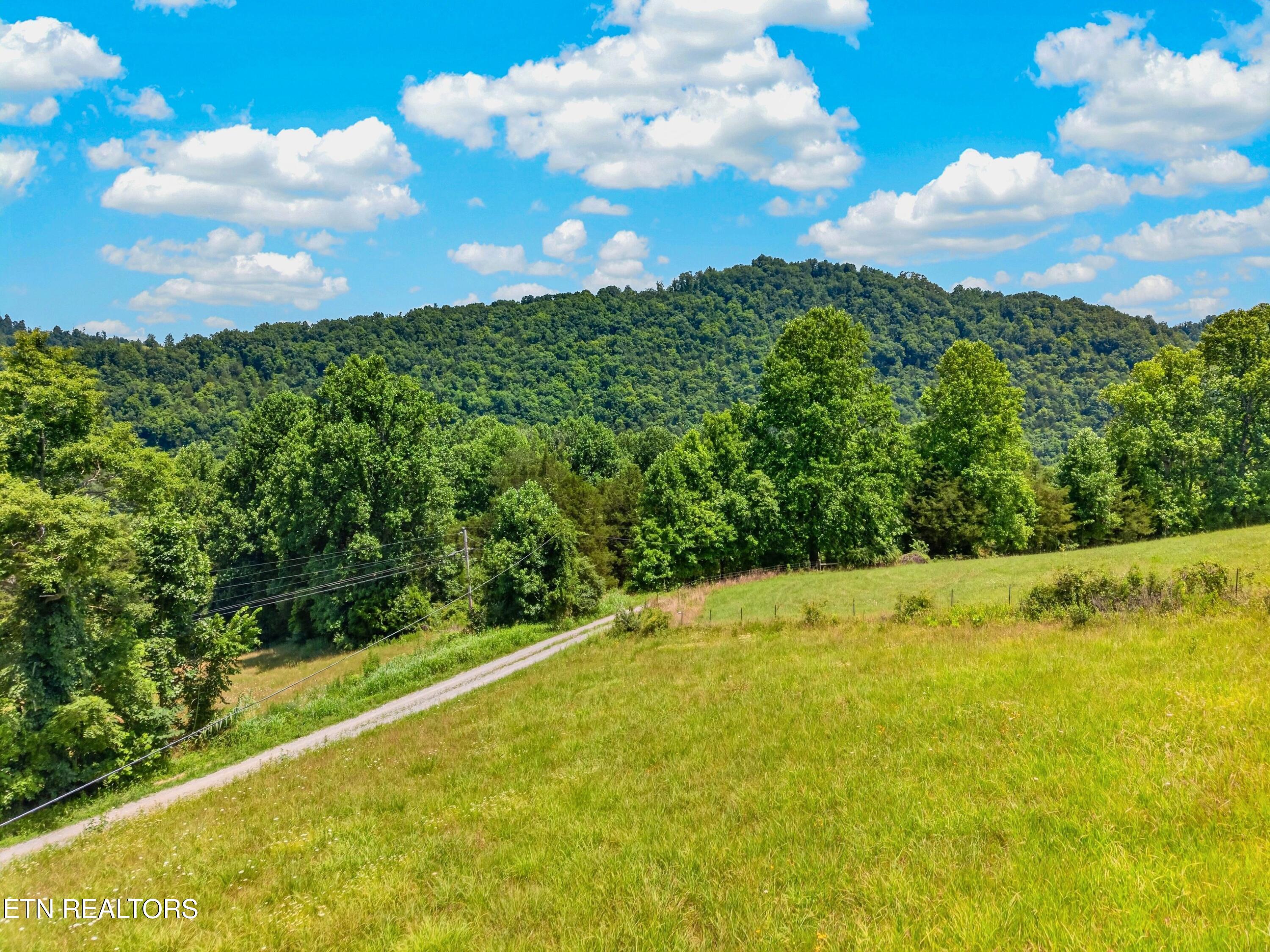 Tbd Ferguson Ridge Road Tazewell, TN 37879 - Photo 12 of 42 035