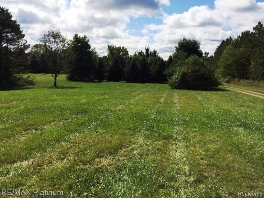 4587 East Clyde Road Howell, MI 48855 - Photo 4 of 22 Front Yard.JPG