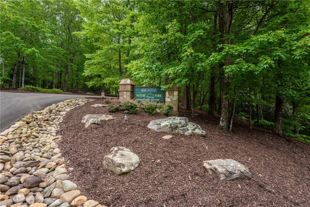 307 Stonehaven Court Jasper, GA 30143 - Photo 14 of 18 a view of a yard with plants and a trees