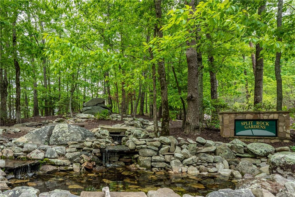 307 Stonehaven Court Jasper, GA 30143 - Photo 16 of 18 a view of a street with a tree